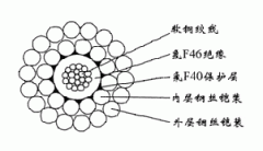 FL-WGSF46-8.00mm防硫型單芯氟塑料雙鋼絲鎧裝承荷探測(cè)電纜