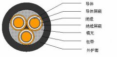 3*2.5，3*3，3*4，3*6，3*10，3*16，3*25屏蔽電纜結(jié)構(gòu)圖