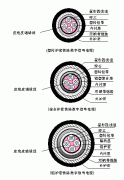 機車數(shù)字信號線鐵路數(shù)字信號電纜